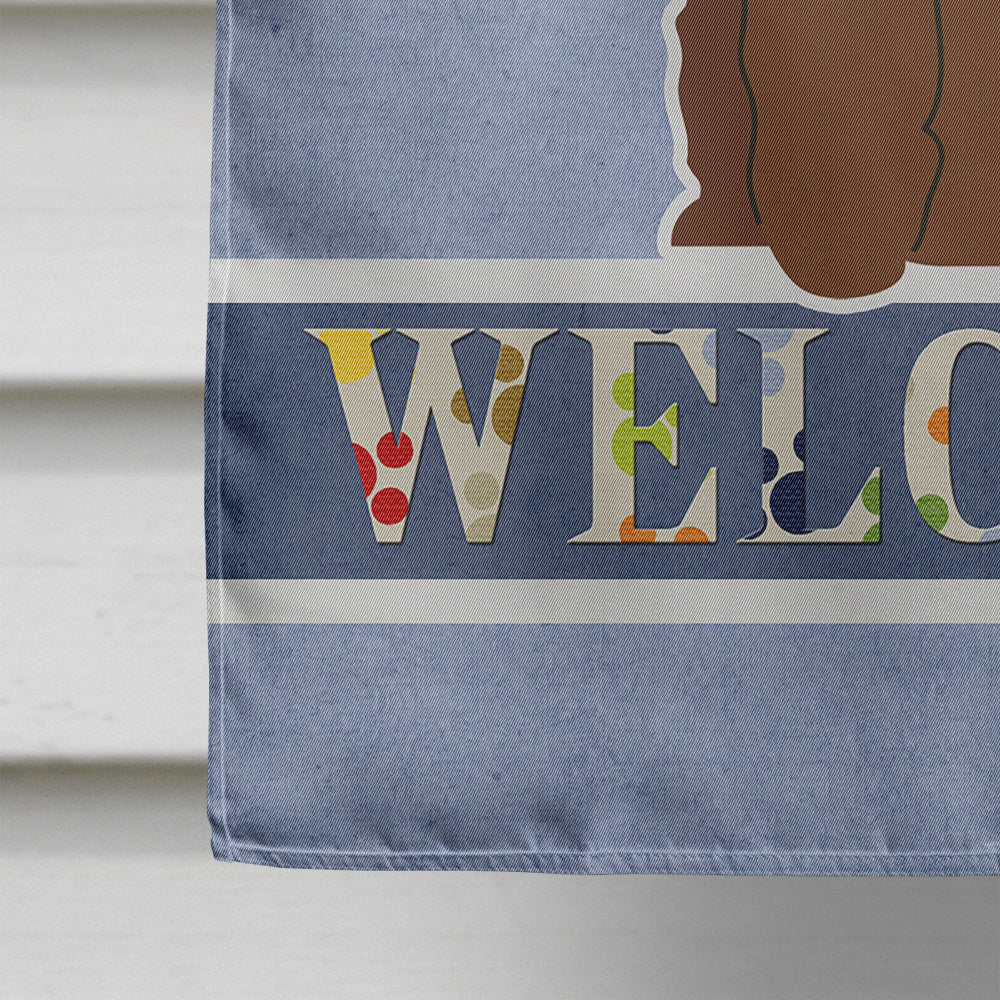 Irish Water Spaniel Welcome House Flag 28x40 Porch Sleeve Pole Decorative Outside Yard Banner Artwork Wall Hanging, Polyester