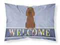 Irish Water Spaniel Welcome Standard Pillowcase Lightweight Super Soft Easy Care Decorative Artwork Pillowcase, Standard