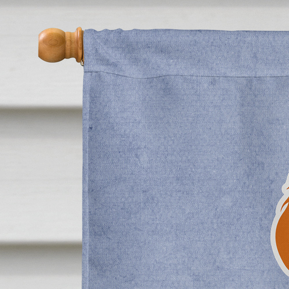 Irish Setter Welcome House Flag 28x40 Porch Sleeve Pole Decorative Outside Yard Banner Artwork Wall Hanging, Polyester