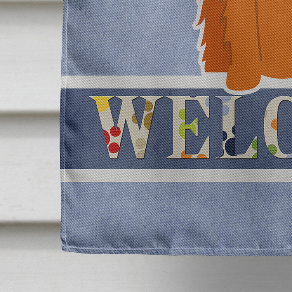 Irish Setter Welcome House Flag 28x40 Porch Sleeve Pole Decorative Outside Yard Banner Artwork Wall Hanging, Polyester