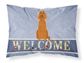 Irish Setter Welcome Standard Pillowcase Lightweight Super Soft Easy Care Decorative Artwork Pillowcase, Standard