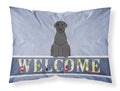 Giant Schnauzer Welcome Standard Pillowcase Lightweight Super Soft Easy Care Decorative Artwork Pillowcase, Standard