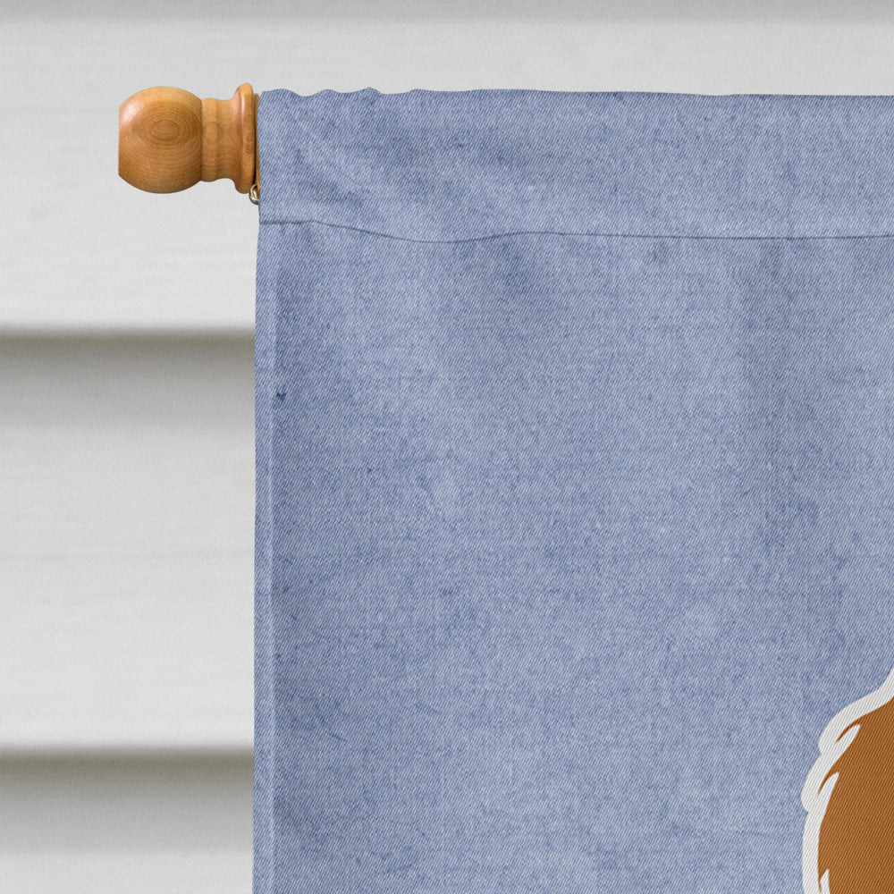 Brittany Spaniel Welcome House Flag 28x40 Porch Sleeve Pole Decorative Outside Yard Banner Artwork Wall Hanging, Polyester