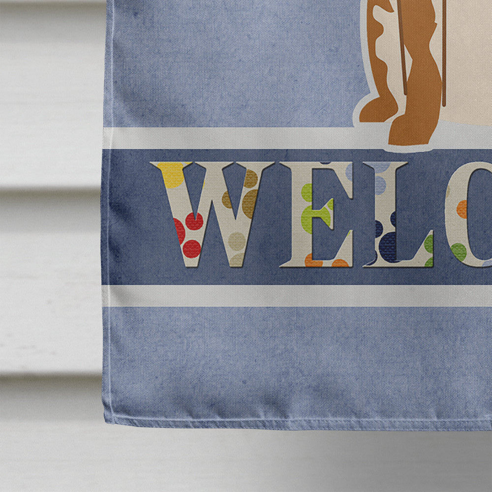 Brittany Spaniel Welcome House Flag 28x40 Porch Sleeve Pole Decorative Outside Yard Banner Artwork Wall Hanging, Polyester