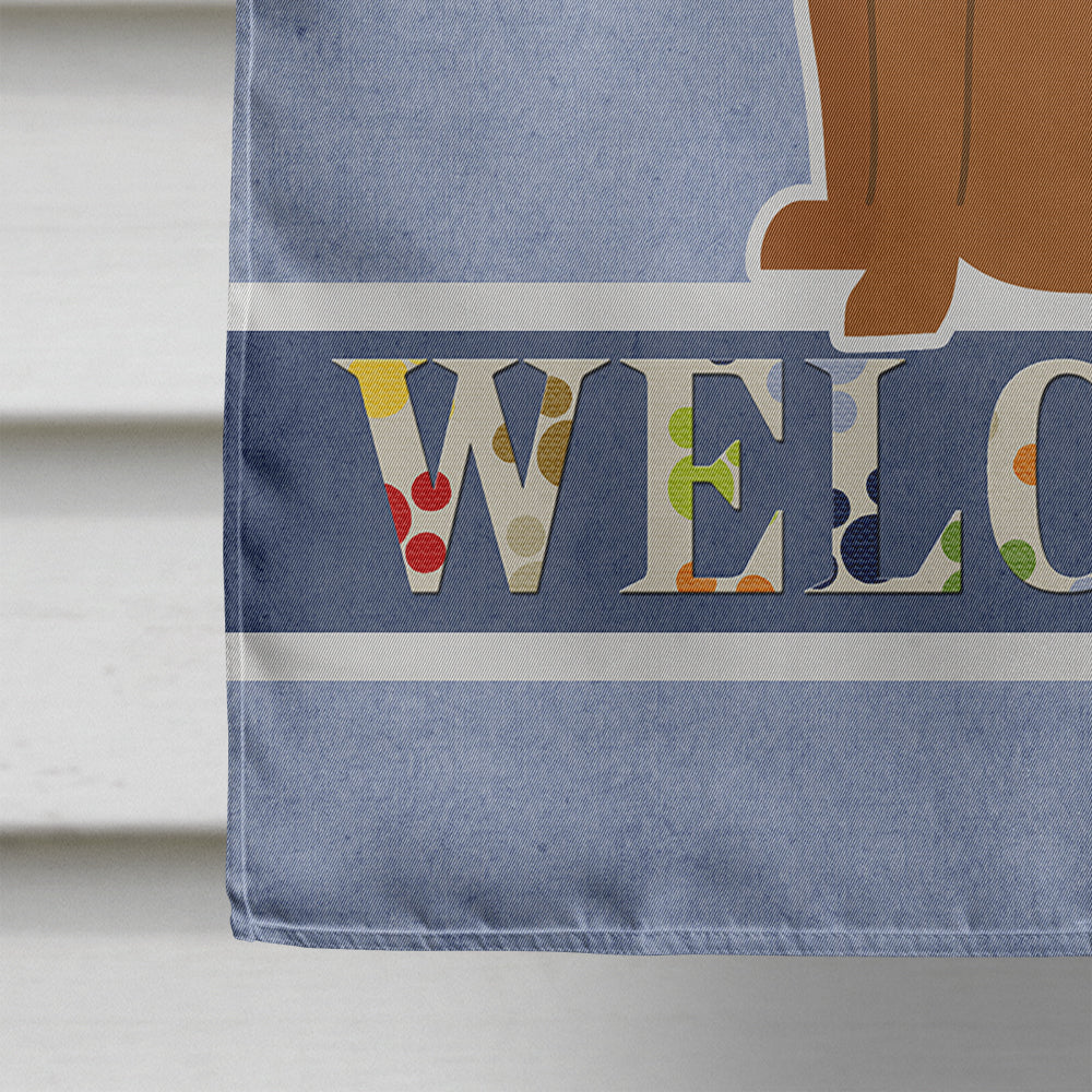 Dogue de Bourdeaux Welcome House Flag 28x40 Porch Sleeve Pole Decorative Outside Yard Banner Artwork Wall Hanging, Polyester