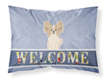 Papillon Sable White Welcome Standard Pillowcase Lightweight Super Soft Easy Care Decorative Artwork Pillowcase, Standard