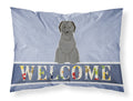 Briard Black Welcome Standard Pillowcase Lightweight Super Soft Easy Care Decorative Artwork Pillowcase, Standard