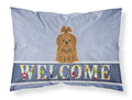 Shih Tzu Silver Chocolate Welcome Standard Pillowcase Lightweight Super Soft Easy Care Decorative Artwork Pillowcase, Standard