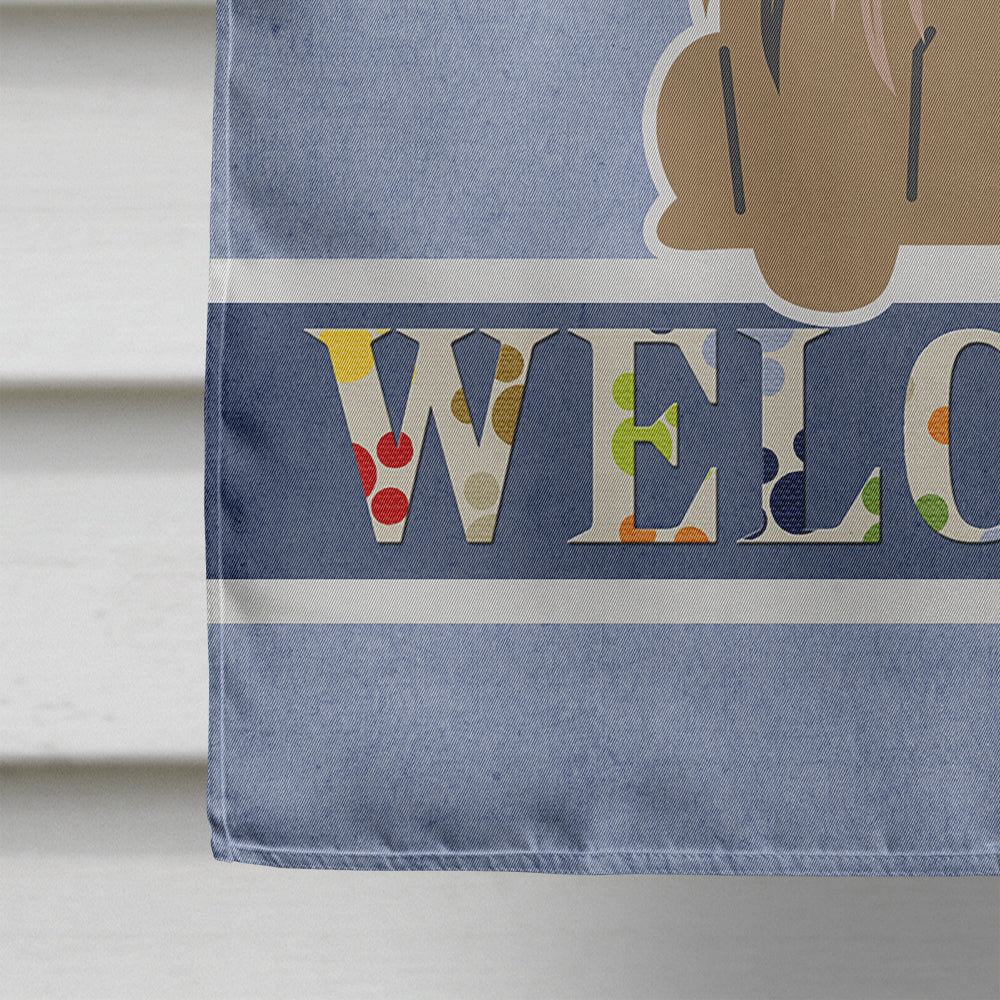 Pekingese Tan Welcome House Flag 28x40 Porch Sleeve Pole Decorative Outside Yard Banner Artwork Wall Hanging, Polyester