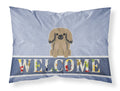 Pekingese Tan Welcome Standard Pillowcase Lightweight Super Soft Easy Care Decorative Artwork Pillowcase, Standard