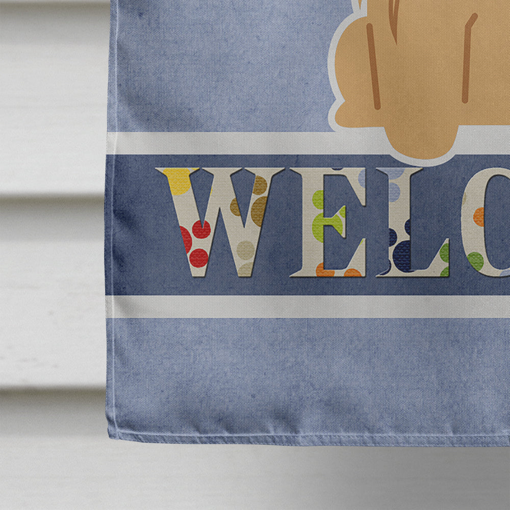 Pekingese Fawn Sable Welcome House Flag 28x40 Porch Sleeve Pole Decorative Outside Yard Banner Artwork Wall Hanging, Polyester