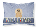 Pekingese Fawn Sable Welcome Standard Pillowcase Lightweight Super Soft Easy Care Decorative Artwork Pillowcase, Standard