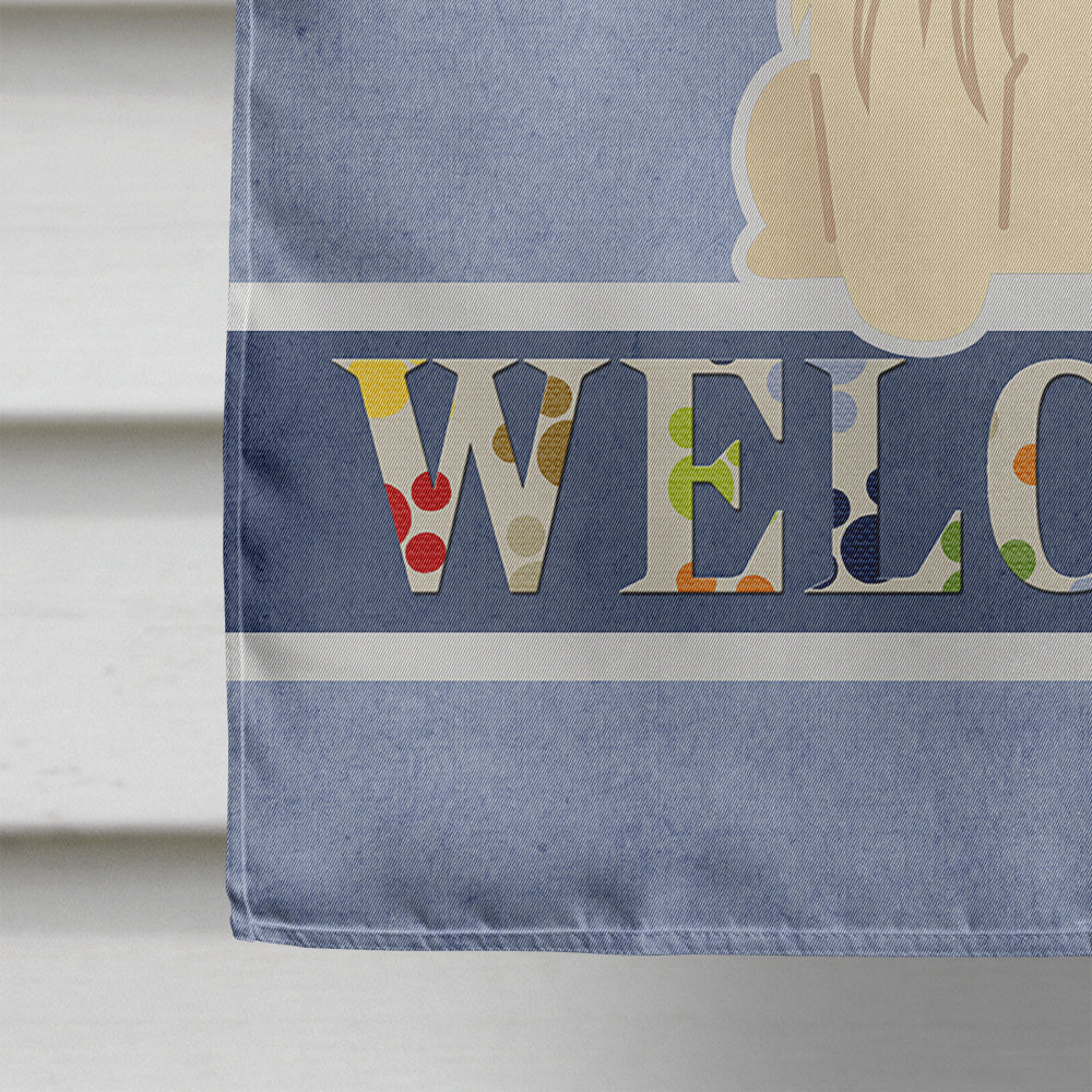 Pekingese Cream Welcome House Flag 28x40 Porch Sleeve Pole Decorative Outside Yard Banner Artwork Wall Hanging, Polyester
