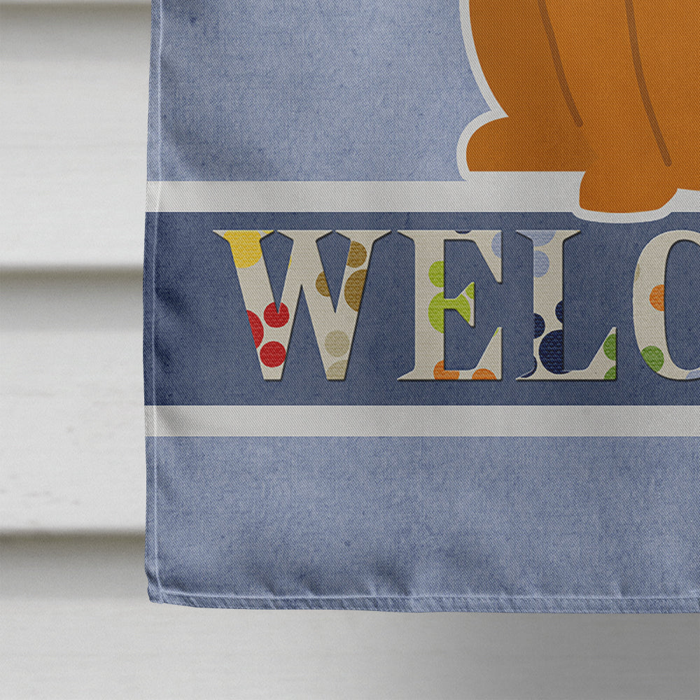 Fawn Boxer Welcome House Flag 28x40 Porch Sleeve Pole Decorative Outside Yard Banner Artwork Wall Hanging, Polyester