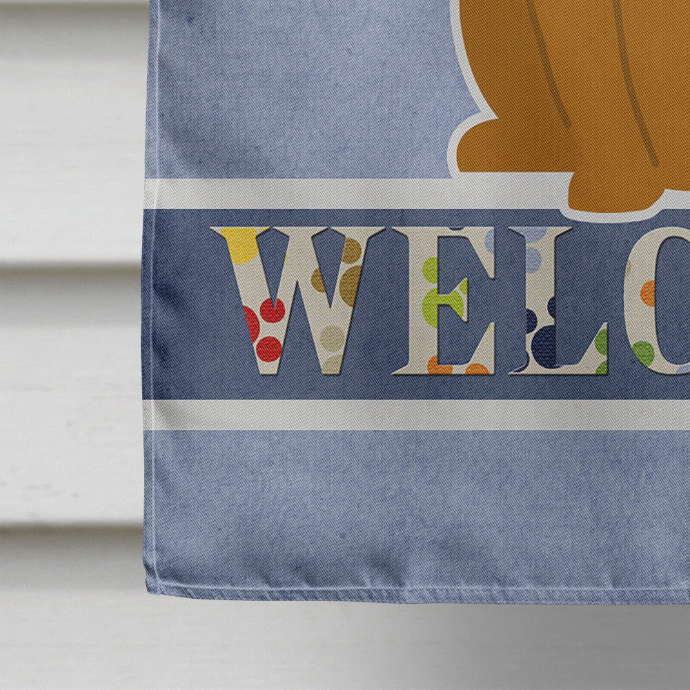 Flashy Fawn Boxer Welcome House Flag 28x40 Porch Sleeve Pole Decorative Outside Yard Banner Artwork Wall Hanging, Polyester