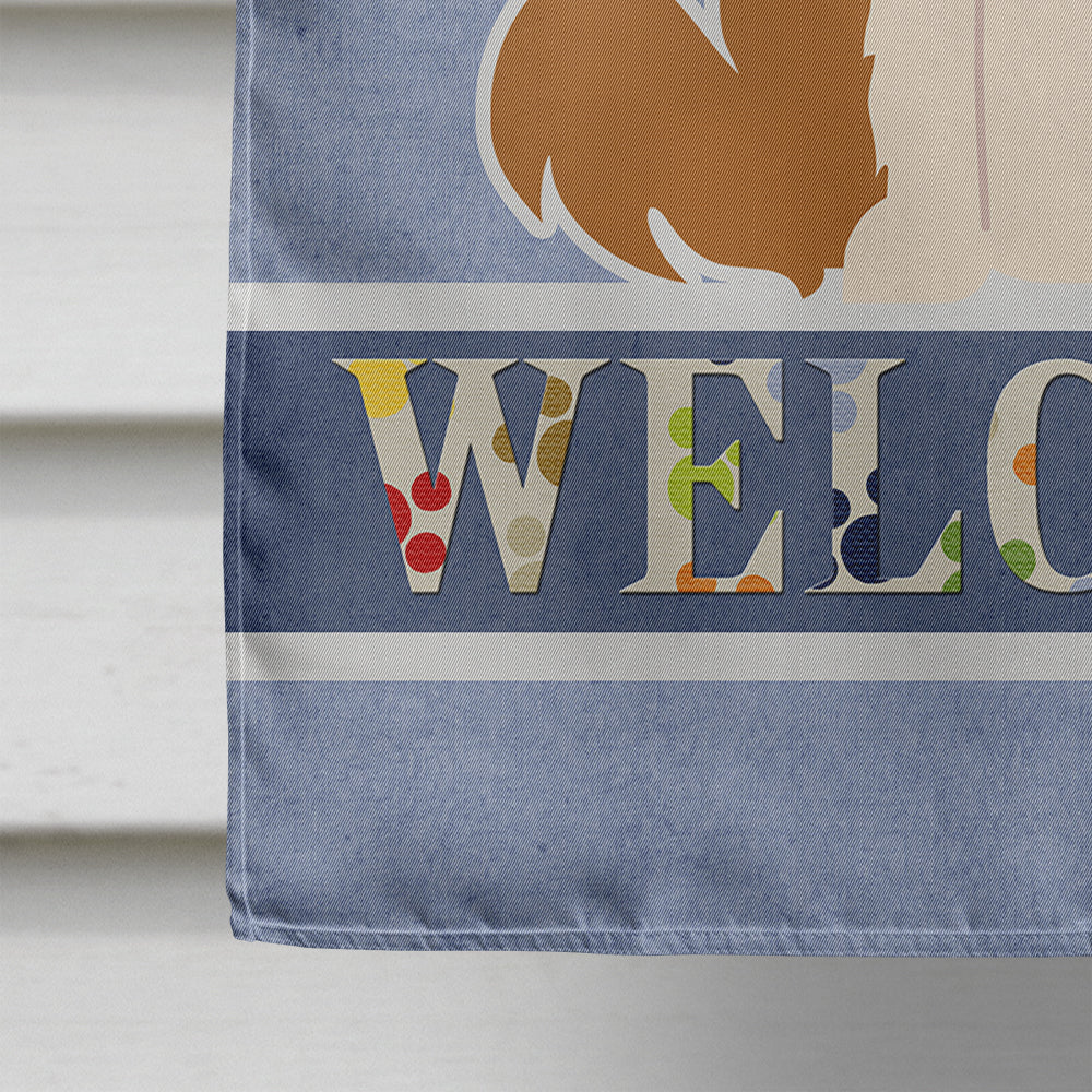 Border Collie Red White Welcome House Flag 28x40 Porch Sleeve Pole Decorative Outside Yard Banner Artwork Wall Hanging, Polyester