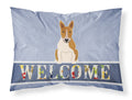 Bull Terrier Red White Welcome Standard Pillowcase Lightweight Super Soft Easy Care Decorative Artwork Pillowcase, Standard
