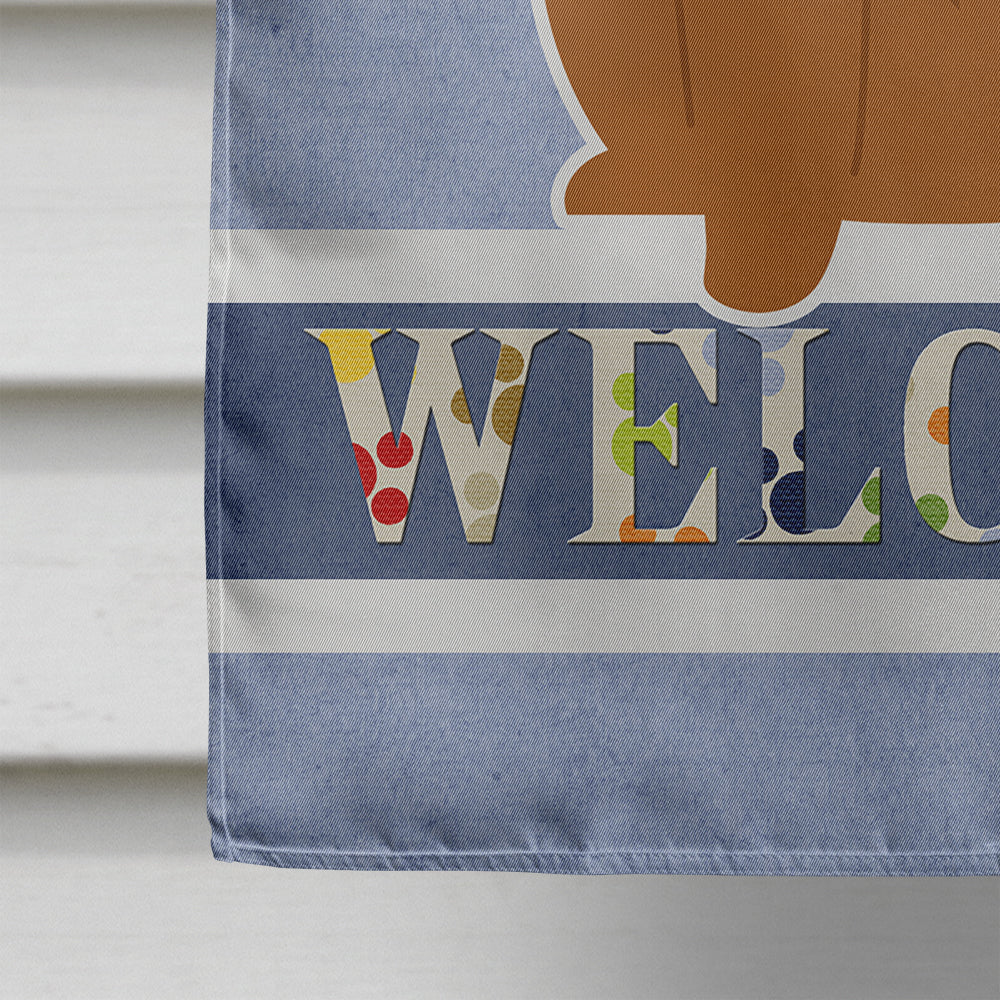 Chow Chow Red Welcome House Flag 28x40 Porch Sleeve Pole Decorative Outside Yard Banner Artwork Wall Hanging, Polyester