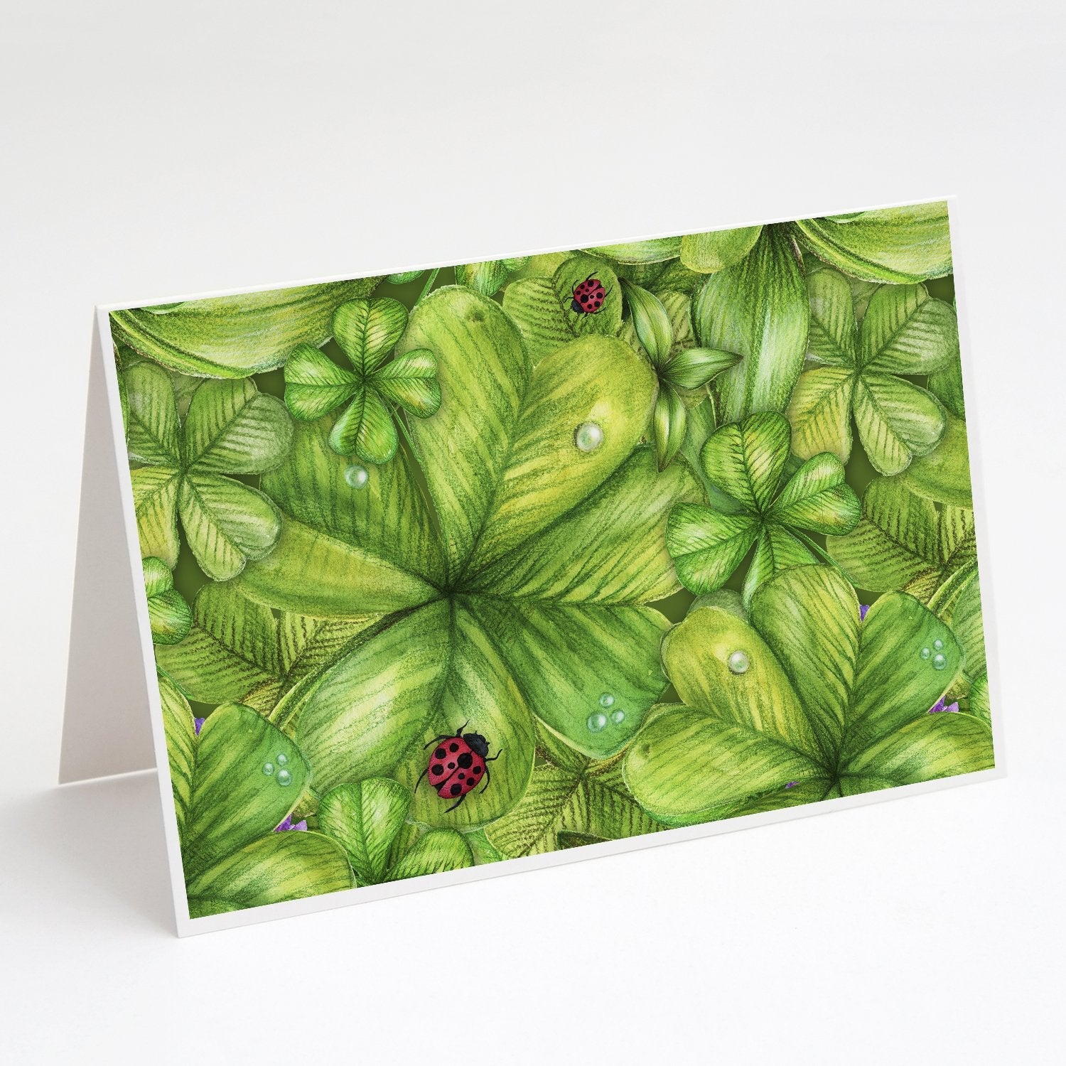Shamrocks and Lady bugs Greeting Cards Pack of 8 Blank Cards with Envelopes Whimsical A7 Size 5x7