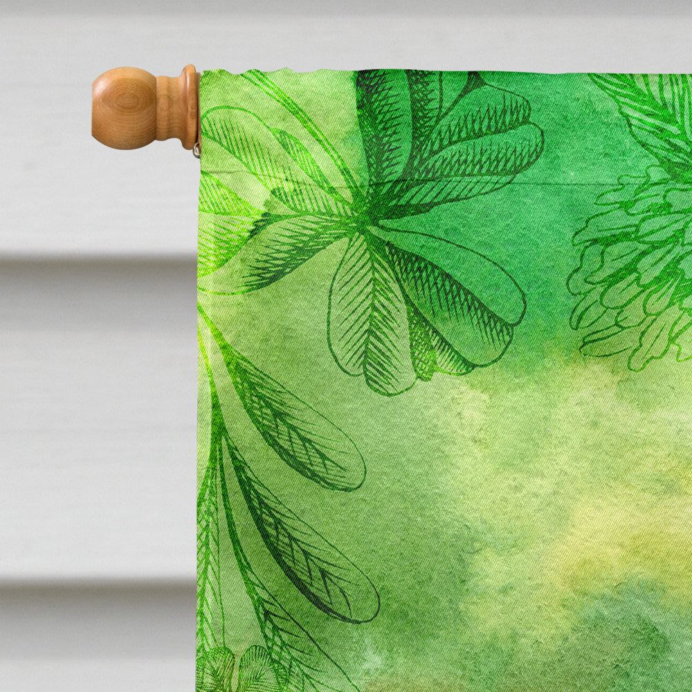 Irish Dance House Flag 28x40 Porch Sleeve Pole Decorative Outside Yard Banner Artwork Wall Hanging, Polyester