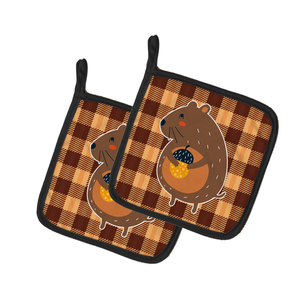 Squirrel with a Nut Pot Holder Set of 2 Heat Resistant Quilted Hot Pads 7.5 x 7.5 Inch, Insulated Kitchen Trivets for Cooking & Baking