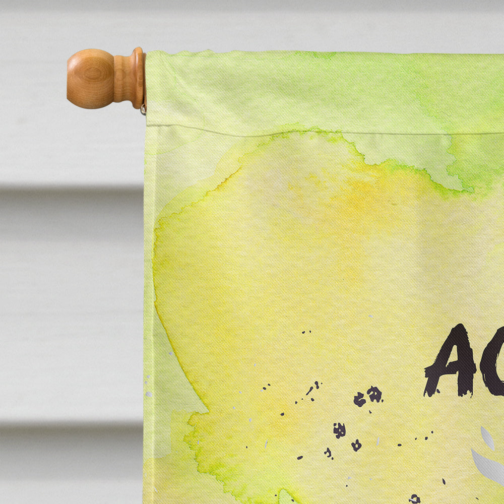 Aquarius Zodiac Sign House Flag 28x40 Porch Sleeve Pole Decorative Outside Yard Banner Artwork Wall Hanging, Polyester