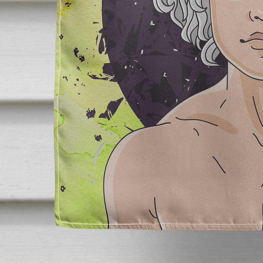 Aquarius Zodiac Sign House Flag 28x40 Porch Sleeve Pole Decorative Outside Yard Banner Artwork Wall Hanging, Polyester