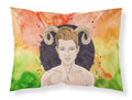 Aries Zodiac Sign Standard Pillowcase Lightweight Super Soft Easy Care Decorative Artwork Pillowcase, Standard