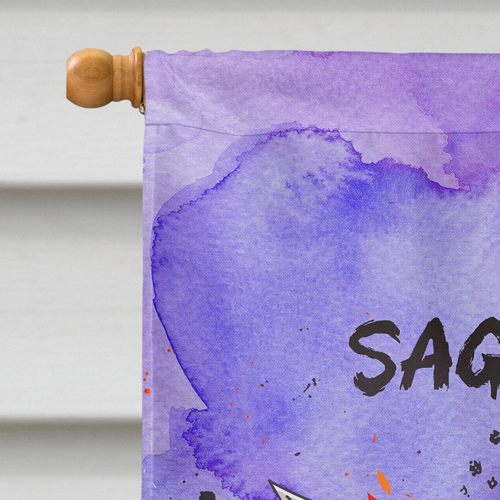 Sagittarius Zodiac Sign House Flag 28x40 Porch Sleeve Pole Decorative Outside Yard Banner Artwork Wall Hanging, Polyester