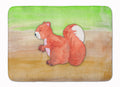 Squirrel Watercolor Memory Foam Kitchen Mat Machine Washable Anti-Fatigue Cushion Comfort Bath or Kitchen Rug