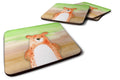 Bear Watercolor Foam Coasters Set of 4 Cup Coasters for Indoor Outdoor, Tabletop Protection, Anti Slip, Mouse pad Material