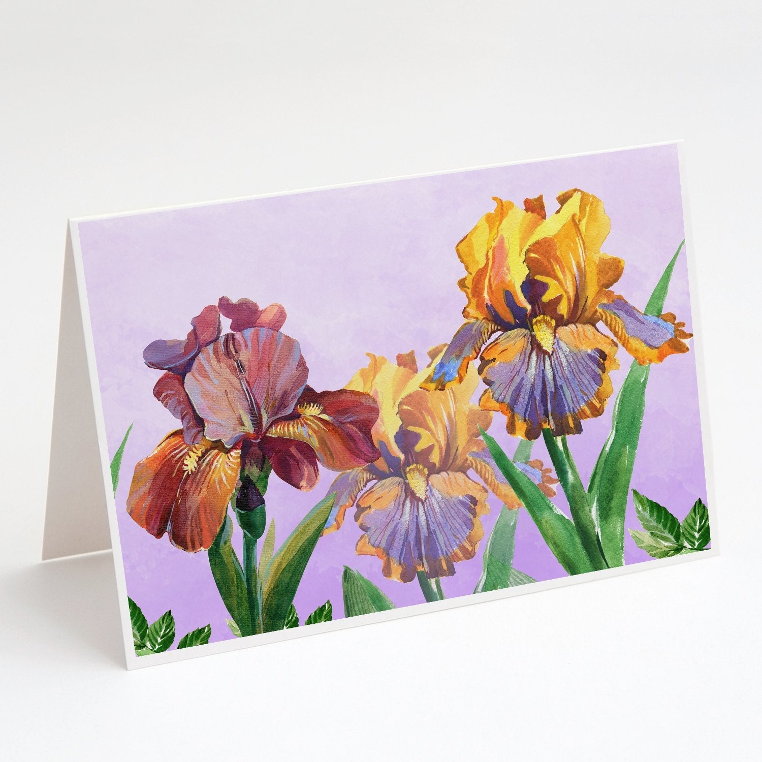 Purple and Yellow Iris Greeting Cards Pack of 8 Blank Cards with Envelopes Whimsical A7 Size 5x7