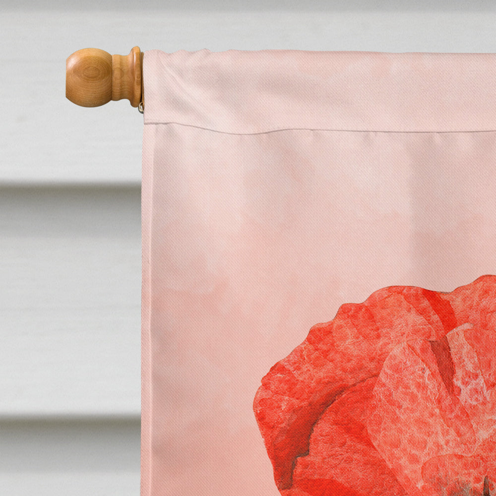 Poppies and Chamomiles House Flag 28x40 Porch Sleeve Pole Decorative Outside Yard Banner Artwork Wall Hanging, Polyester