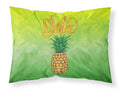 Aloha Pineapple Welcome Standard Pillowcase Lightweight Super Soft Easy Care Decorative Artwork Pillowcase, Standard