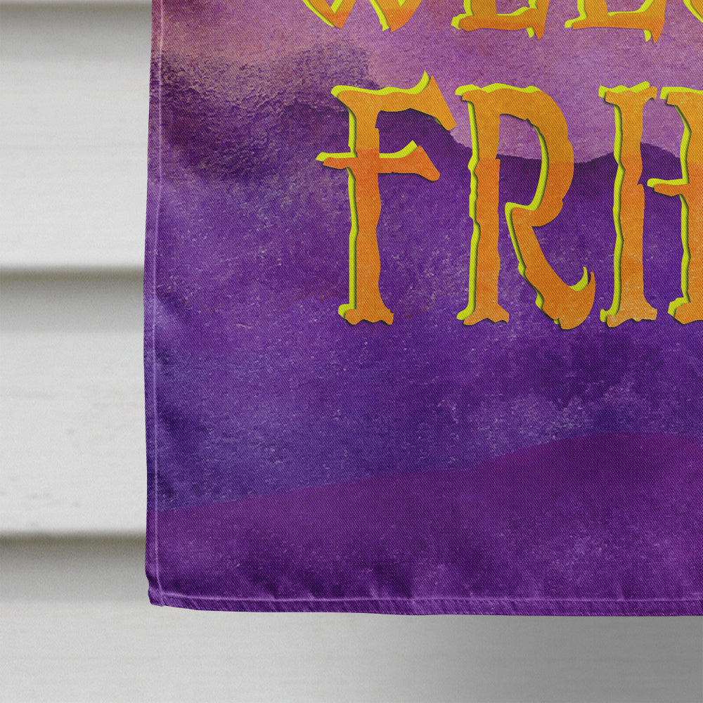 Halloween Welcome Witches Feet House Flag 28x40 Porch Sleeve Pole Decorative Outside Yard Banner Artwork Wall Hanging, Polyester