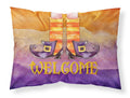 Halloween Welcome Witches Feet Standard Pillowcase Lightweight Super Soft Easy Care Decorative Artwork Pillowcase, Standard