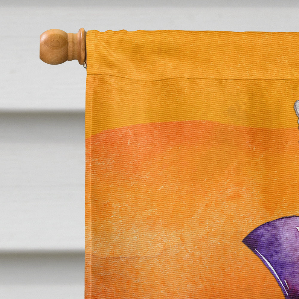 Halloween Trick Witches Feet House Flag 28x40 Porch Sleeve Pole Decorative Outside Yard Banner Artwork Wall Hanging, Polyester