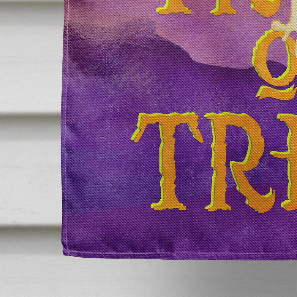 Halloween Trick Witches Feet House Flag 28x40 Porch Sleeve Pole Decorative Outside Yard Banner Artwork Wall Hanging, Polyester