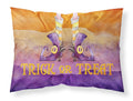 Halloween Trick Witches Feet Standard Pillowcase Lightweight Super Soft Easy Care Decorative Artwork Pillowcase, Standard