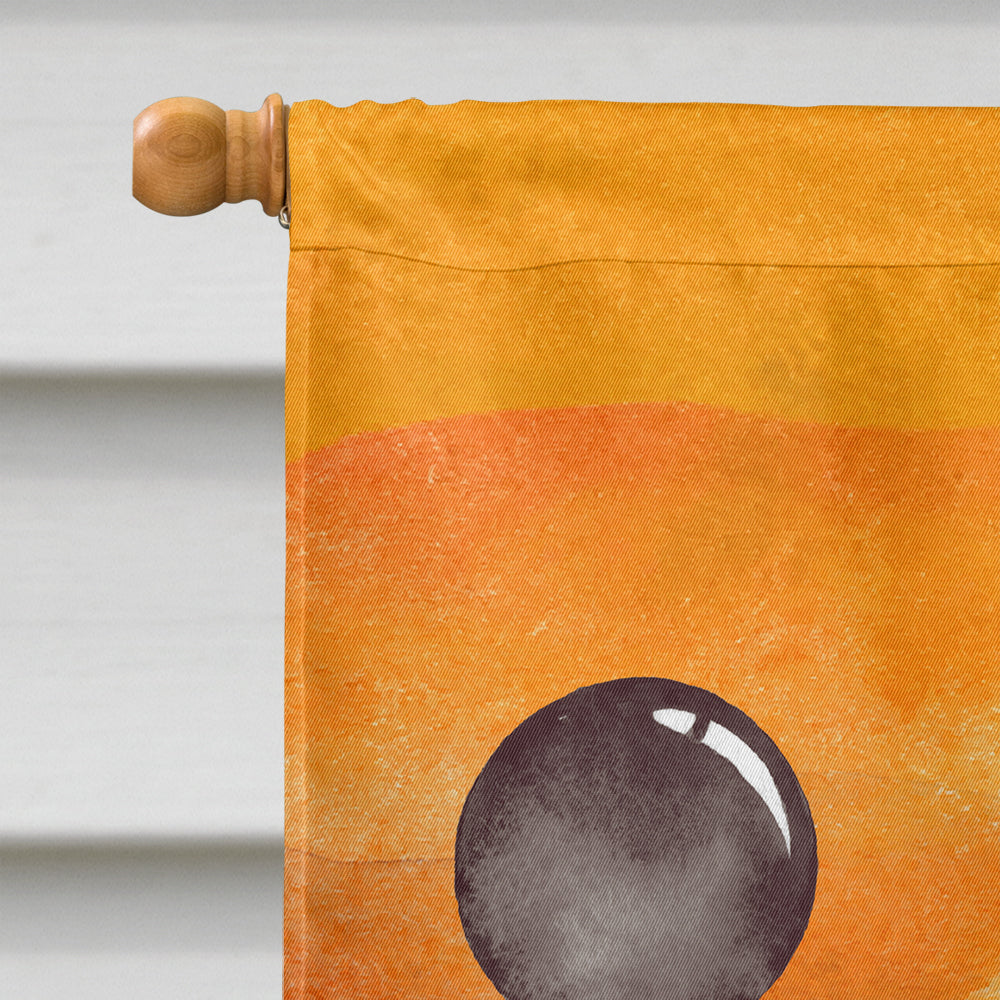 Halloween Trick or Treat House Flag 28x40 Porch Sleeve Pole Decorative Outside Yard Banner Artwork Wall Hanging, Polyester