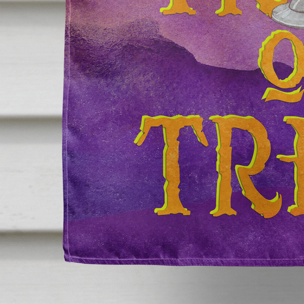 Halloween Trick or Treat House Flag 28x40 Porch Sleeve Pole Decorative Outside Yard Banner Artwork Wall Hanging, Polyester