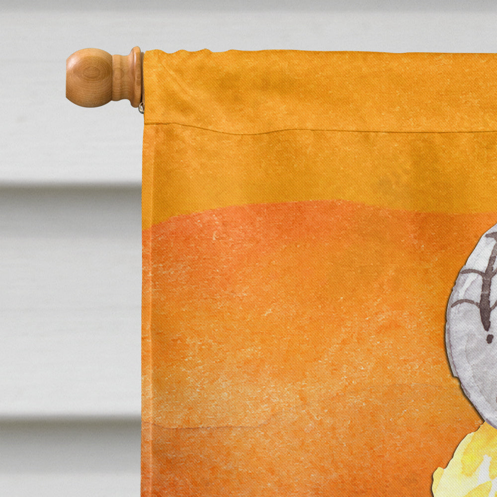 Halloween Sweets Ice Cream Skull House Flag 28x40 Porch Sleeve Pole Decorative Outside Yard Banner Artwork Wall Hanging, Polyester