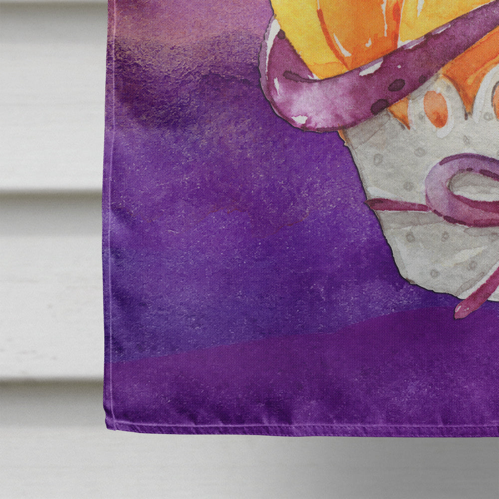 Halloween Pumpkin Snake House Flag 28x40 Porch Sleeve Pole Decorative Outside Yard Banner Artwork Wall Hanging, Polyester