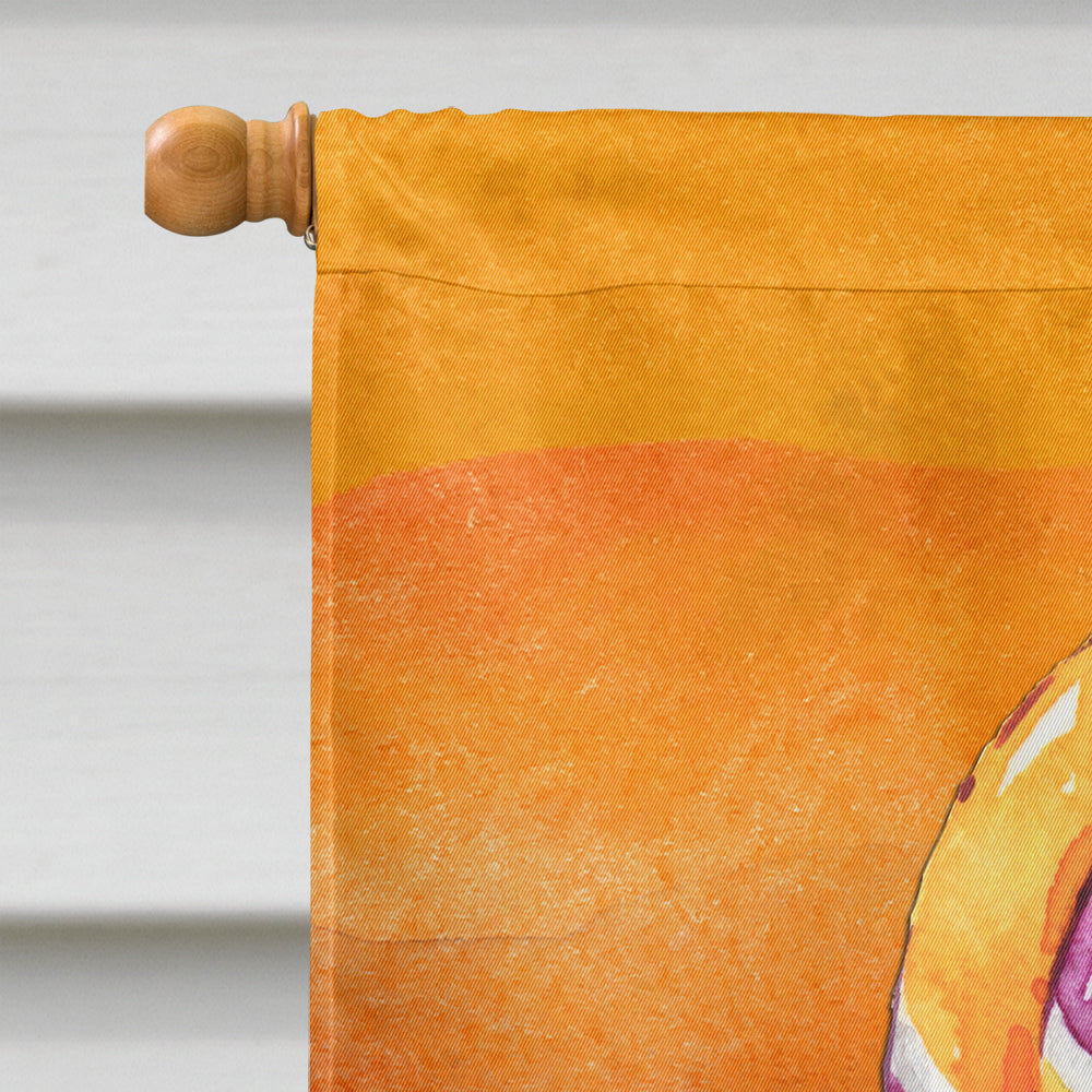Halloween Sucker Lollipop House Flag 28x40 Porch Sleeve Pole Decorative Outside Yard Banner Artwork Wall Hanging, Polyester