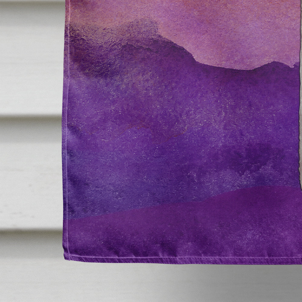 Halloween Sucker Lollipop House Flag 28x40 Porch Sleeve Pole Decorative Outside Yard Banner Artwork Wall Hanging, Polyester