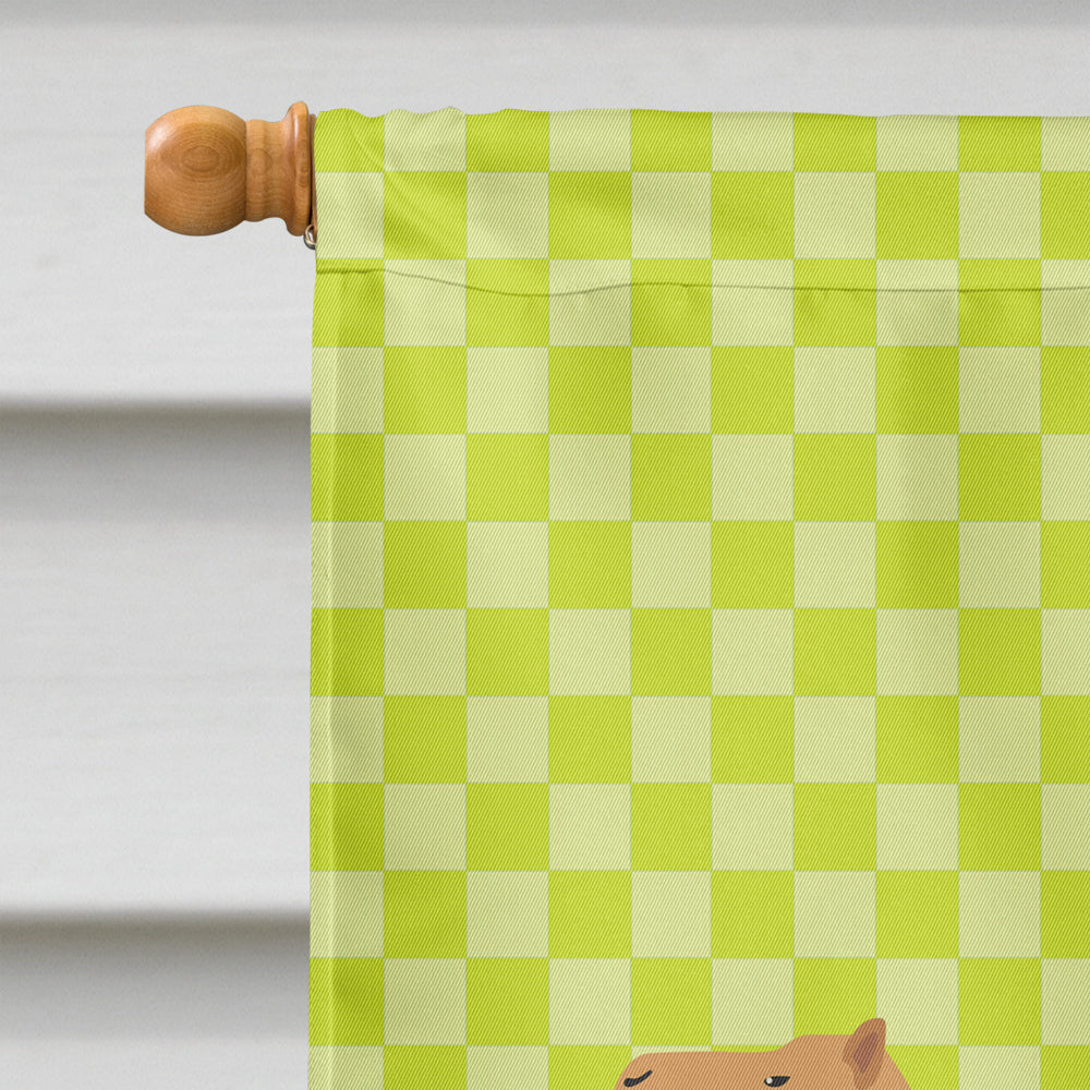 Arabian Camel Dromedary Green House Flag 28x40 Porch Sleeve Pole Decorative Outside Yard Banner Artwork Wall Hanging, Polyester