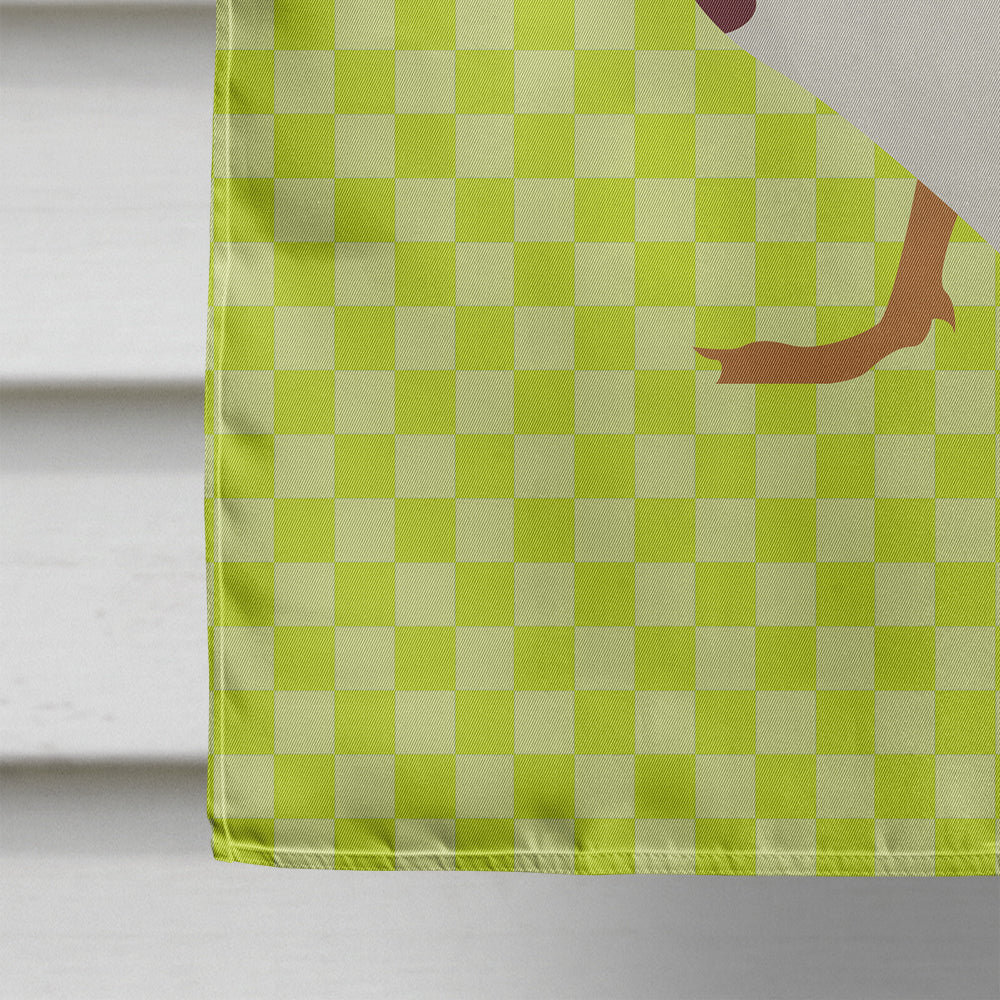 Rouen Duck Green House Flag 28x40 Porch Sleeve Pole Decorative Outside Yard Banner Artwork Wall Hanging, Polyester