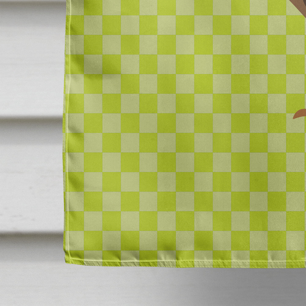 Dutch Hook Bill Duck Green House Flag 28x40 Porch Sleeve Pole Decorative Outside Yard Banner Artwork Wall Hanging, Polyester