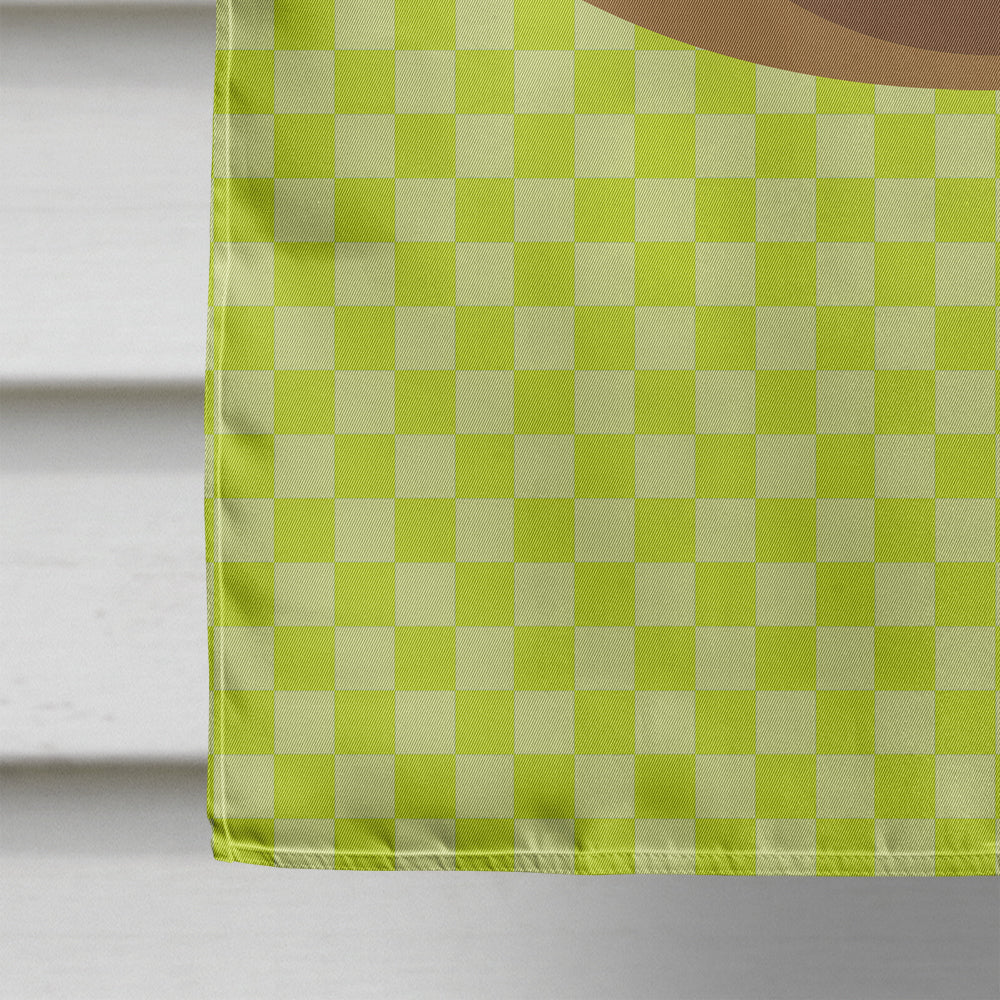 Khaki Campbell Duck Green House Flag 28x40 Porch Sleeve Pole Decorative Outside Yard Banner Artwork Wall Hanging, Polyester