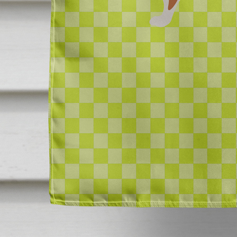Weasel Green House Flag 28x40 Porch Sleeve Pole Decorative Outside Yard Banner Artwork Wall Hanging, Polyester